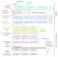 Thumbnail for version as of 12:03, 3 June 2025